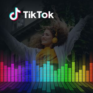 TikTok Managment - PROFESSIONAL - Connect Marketplace